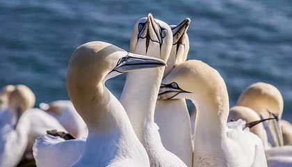 威海伴游，定制QQ：3494206190微信：act1322